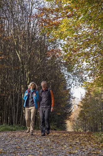 22 Touren werden heuer beim Wanderherbst angeboten - auch im Raum Bad Grönenbach. Foto: Myriam Schell