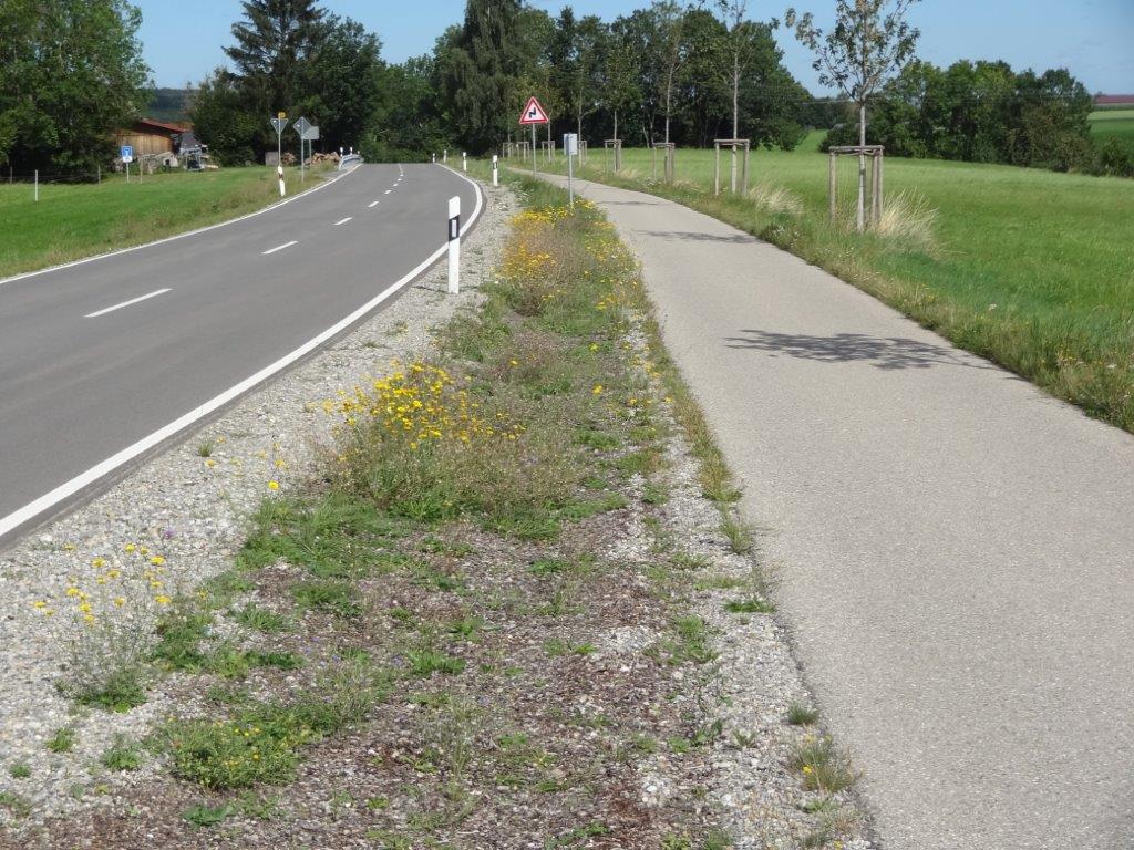 An der Kreisstraße zwischen Bad Grönenbach und Zell wurde der Boden ausgetauscht und neu angesät. 
Foto: Markus Orf/Landratsamt Unterallgäu 