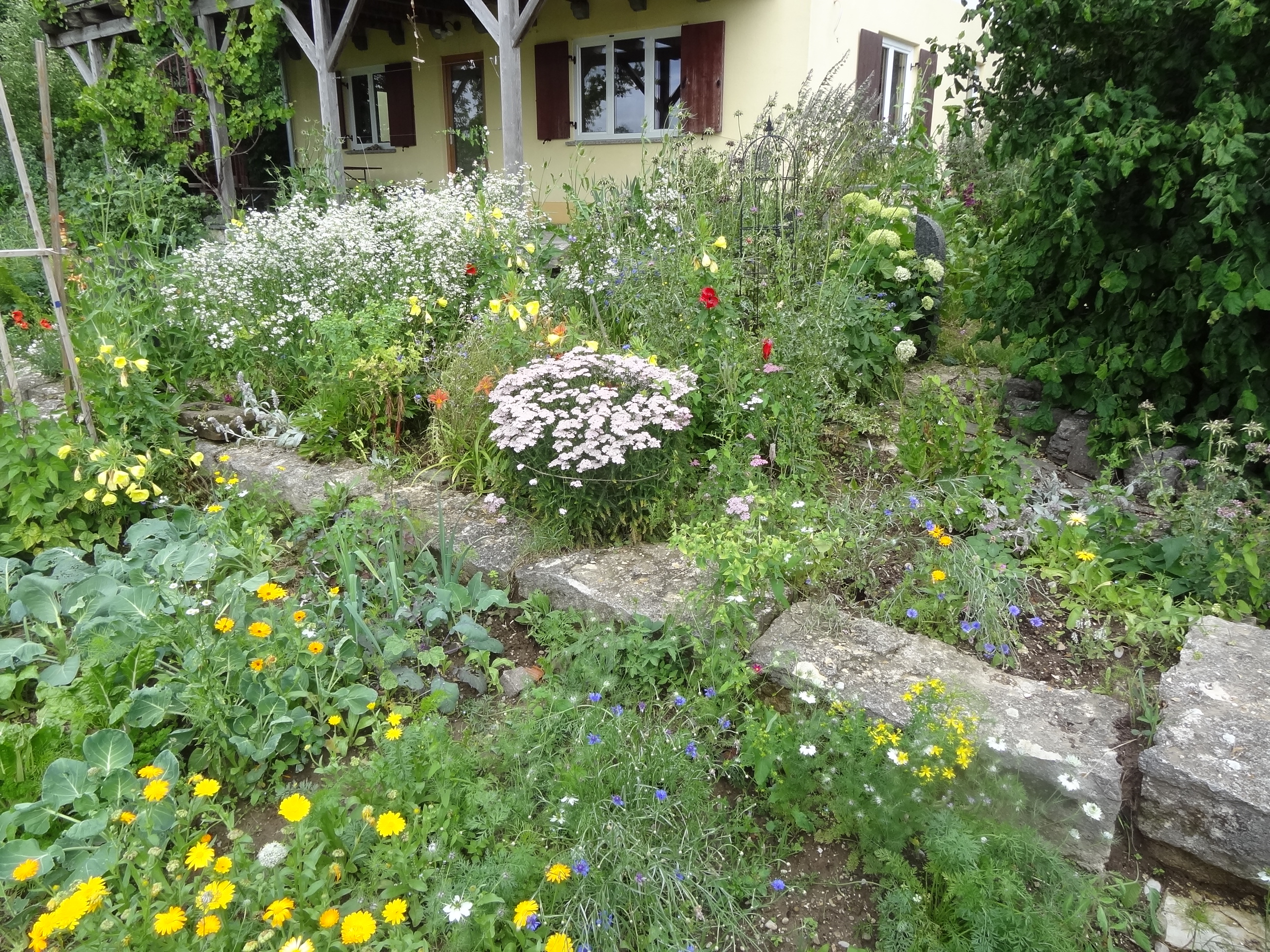 Wer seinen Garten naturnah gestaltet und damit die heimische Artenvielfalt fördert, kann diesen als Naturgarten zertifizieren lassen.
Foto: Markus Orf/Landratsamt Unterallgäu 
