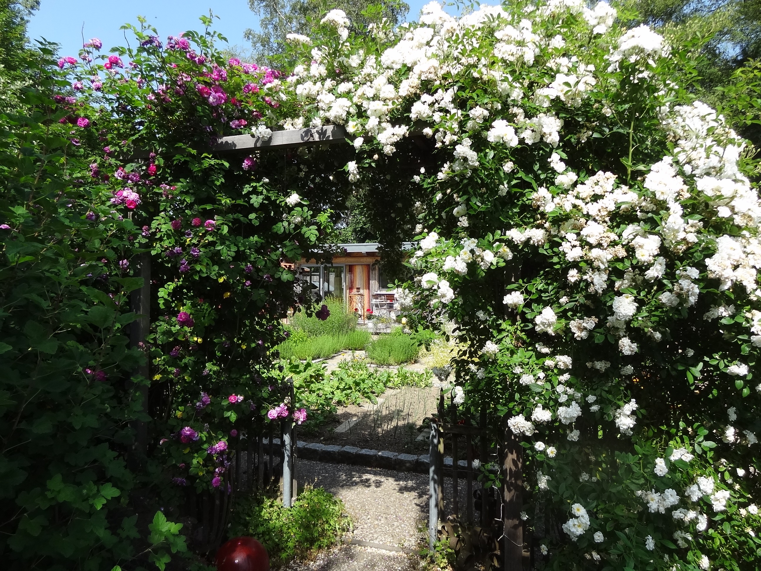 Verschiedene Gärten bestaunen kann man jedes Jahr beim Tag der offenen Gartentür. 	Foto: Markus Orf/Landratsamt Unterallgäu 
