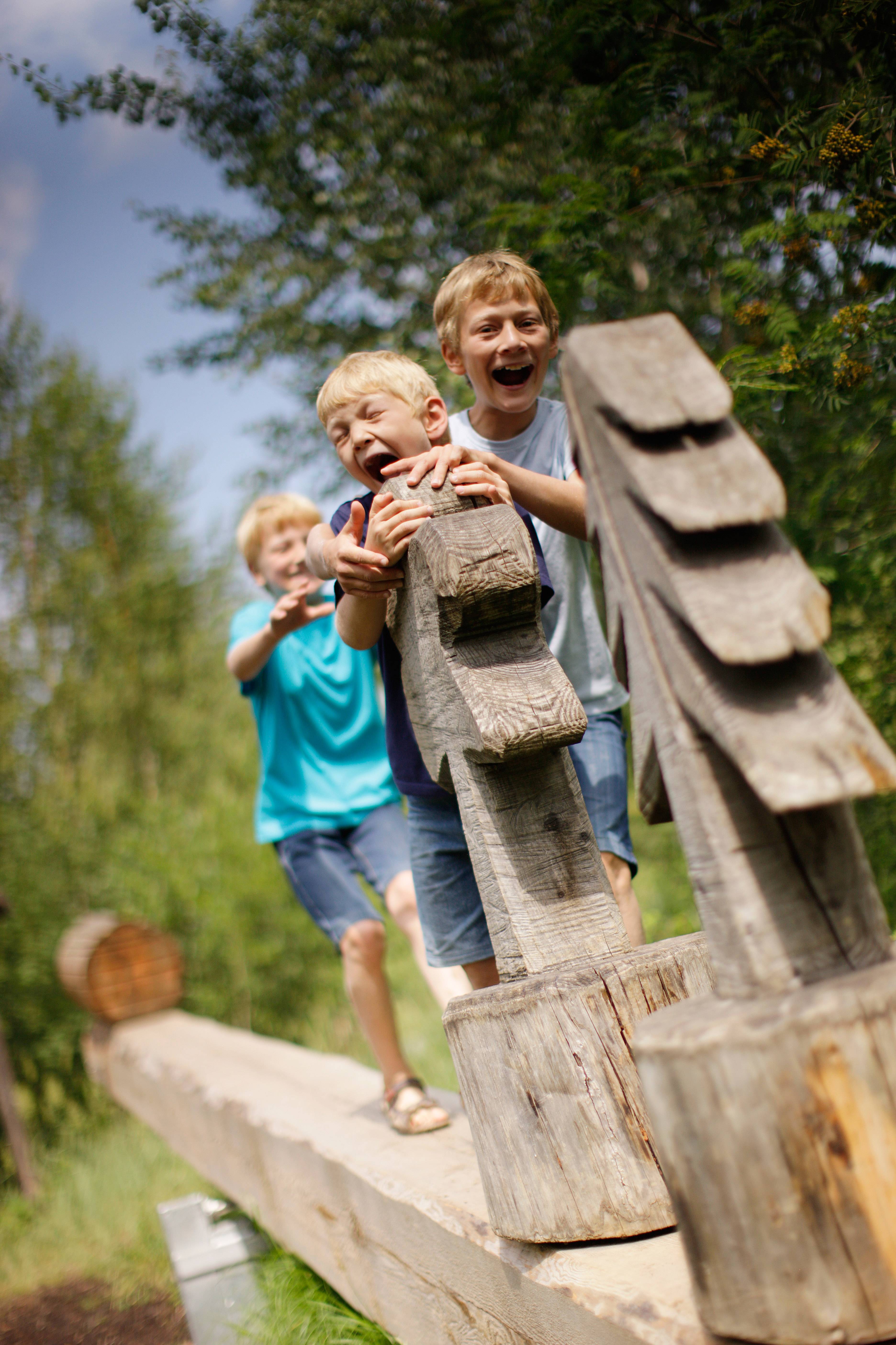 Viel zu sehen und zu entdecken gibt es im Landkreis Unterallgäu - beispielsweise den Walderlebnispfad in Buxheim. Foto: Jan Greune 