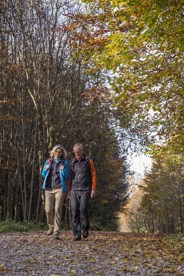 Viele Touren gibt es beim Unterallgäuer Wanderherbst - auch rund um Bad Grönenbach. Foto: Kur- und Gästeinformation Bad Grönenbach