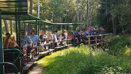 Ein Programmpunkt beim Ausflug für Pflegefamilien war eine Fahrt mit der Torfbahn. Foto: Kreisjugendamt Unterallgäu 