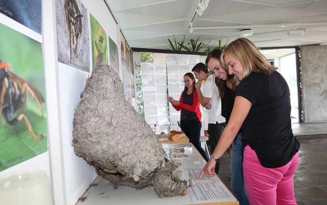 Foto: Eva Büchele/Landratsamt Unterallgäu