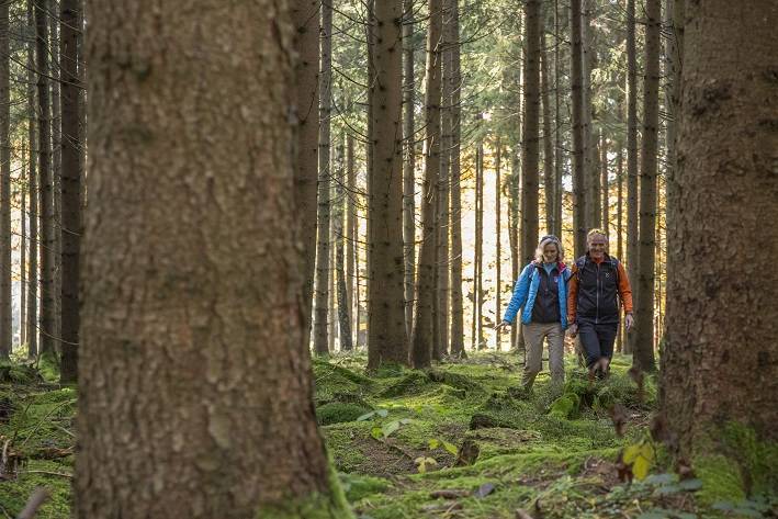 Viele Touren gibt es beim Unterallgäuer Wanderherbst - auch rund um Bad Grönenbach. Foto: Kur- und Gästeinformation Bad Grönenbach