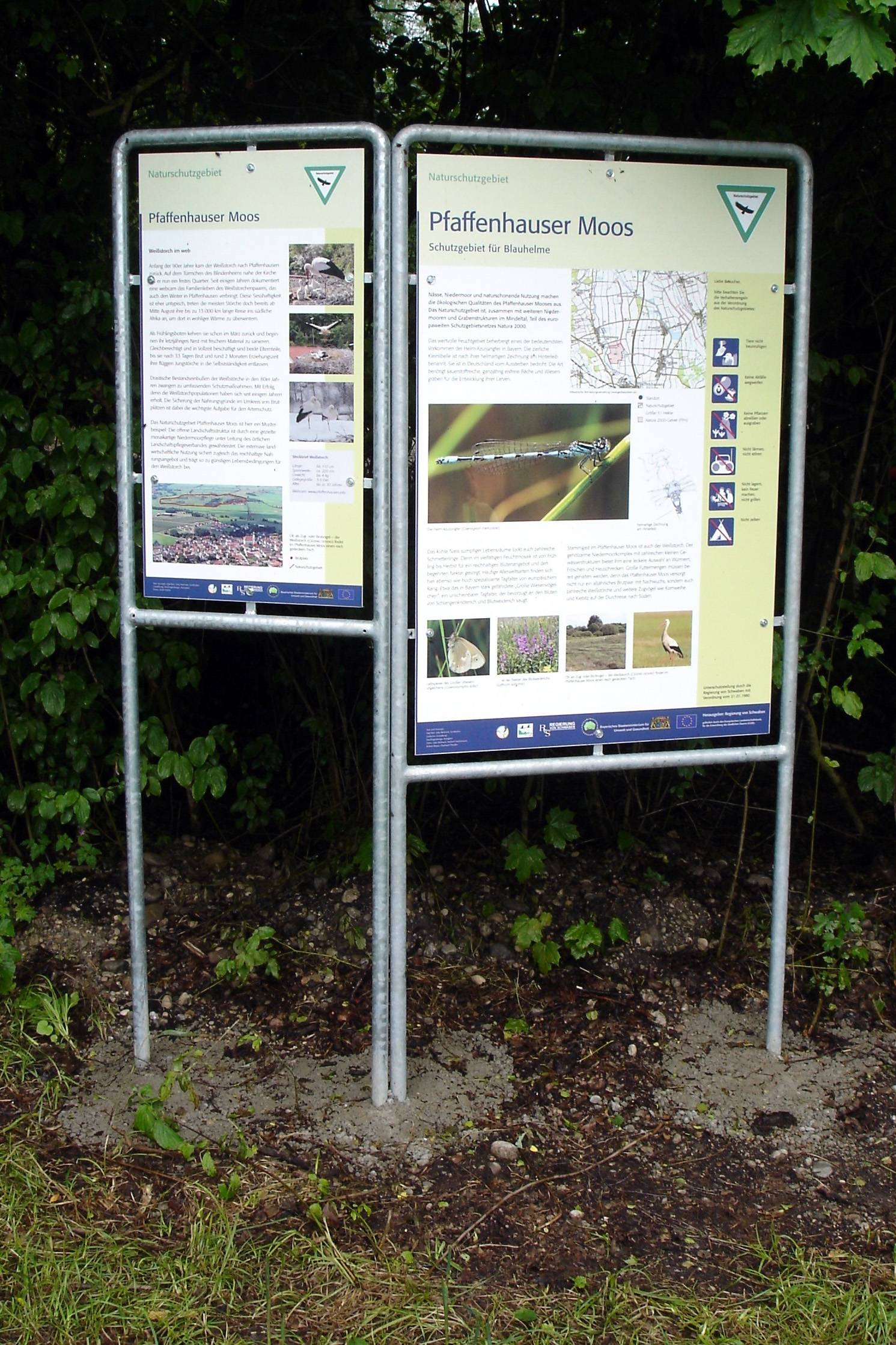 Neue Schilder informieren über das Pfaffenhauser Moos. Foto: Schweiger/Landratsamt