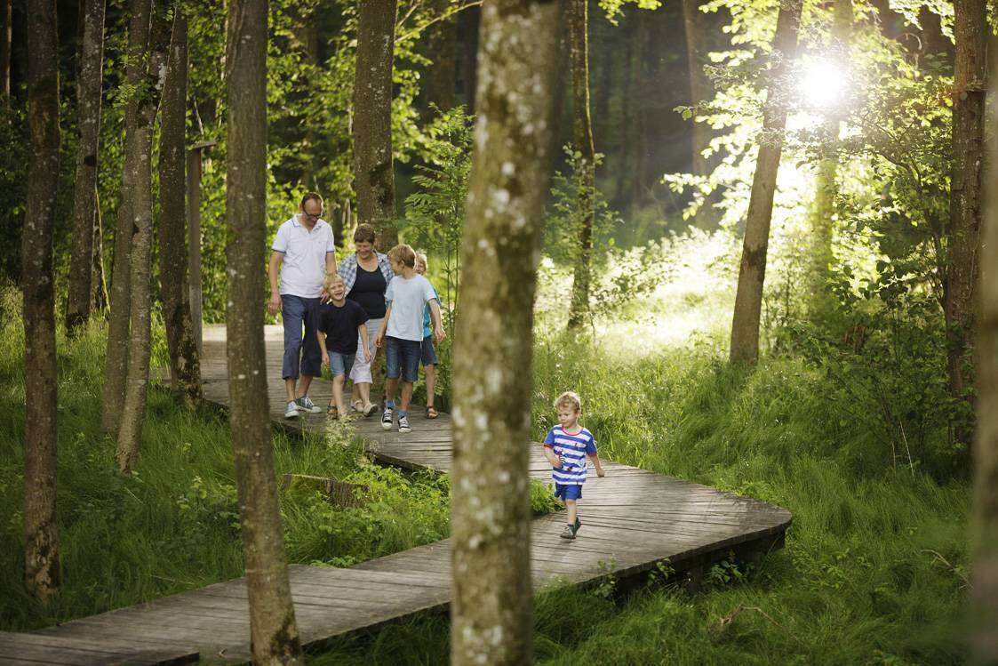 Viele Wandermöglichkeiten für die ganze Familie bietet der Landkreis Unterallgäu. Einen Teil der Wege entdecken kann man beim Unterallgäuer Wandertag am Feiertag Christi Himmelfahrt, 17. Mai. 							Foto: Jan Greune