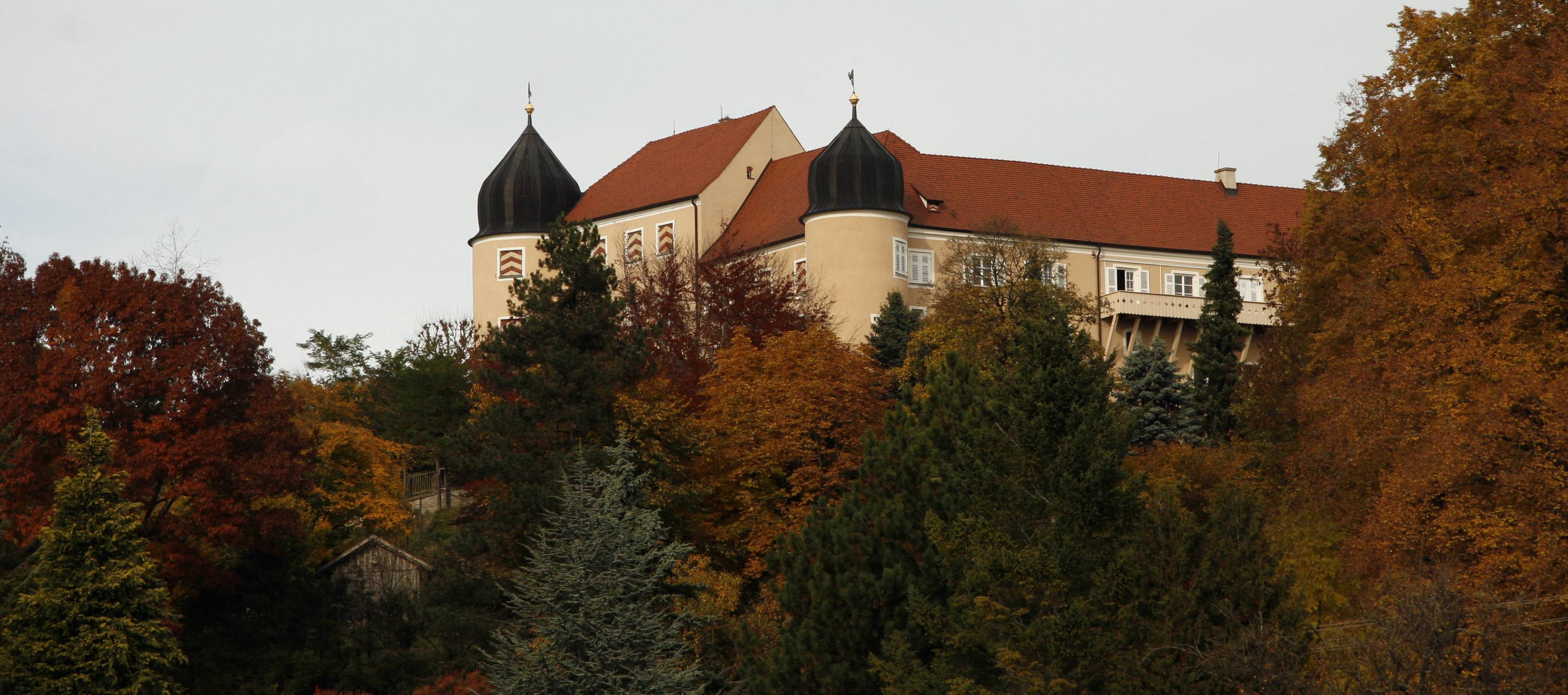 Schloss Kronburg ist ein Programmpunkt einer Landkreisfahrt zu Burgen und Schlössern im Unterallgäu im Rahmen des Jubiläum „40 Jahre Landkreis Unterallgäu“.               Foto: Stefanie Vögele/Landratsamt Unterallgäu