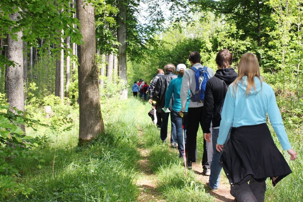 Rund 30 verschiedene Wanderungen stehen beim Unterallgäuer Wanderherbst auf dem Programm. Los geht’s am 1. September. Unser Bild entstand beim Unterallgäuer Wandertag im Mai dieses Jahres.