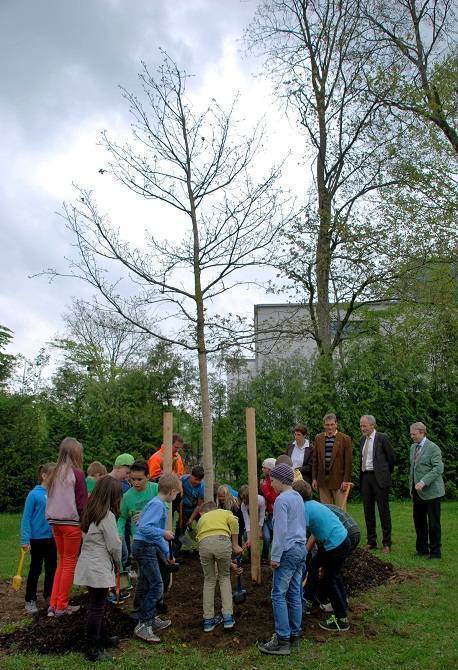 In Mindelheim ist der Tag des Baumes gefeiert worden. Kinder der Grundschule halfen bei der Pflanzung einer Trauben-Eiche tatkräftig mit. Andrea Ruprecht und Markus Orf vom Landratsamt, Landrat Hans-Joachim Weirather und Mindelheims Bürgermeister Dr. St