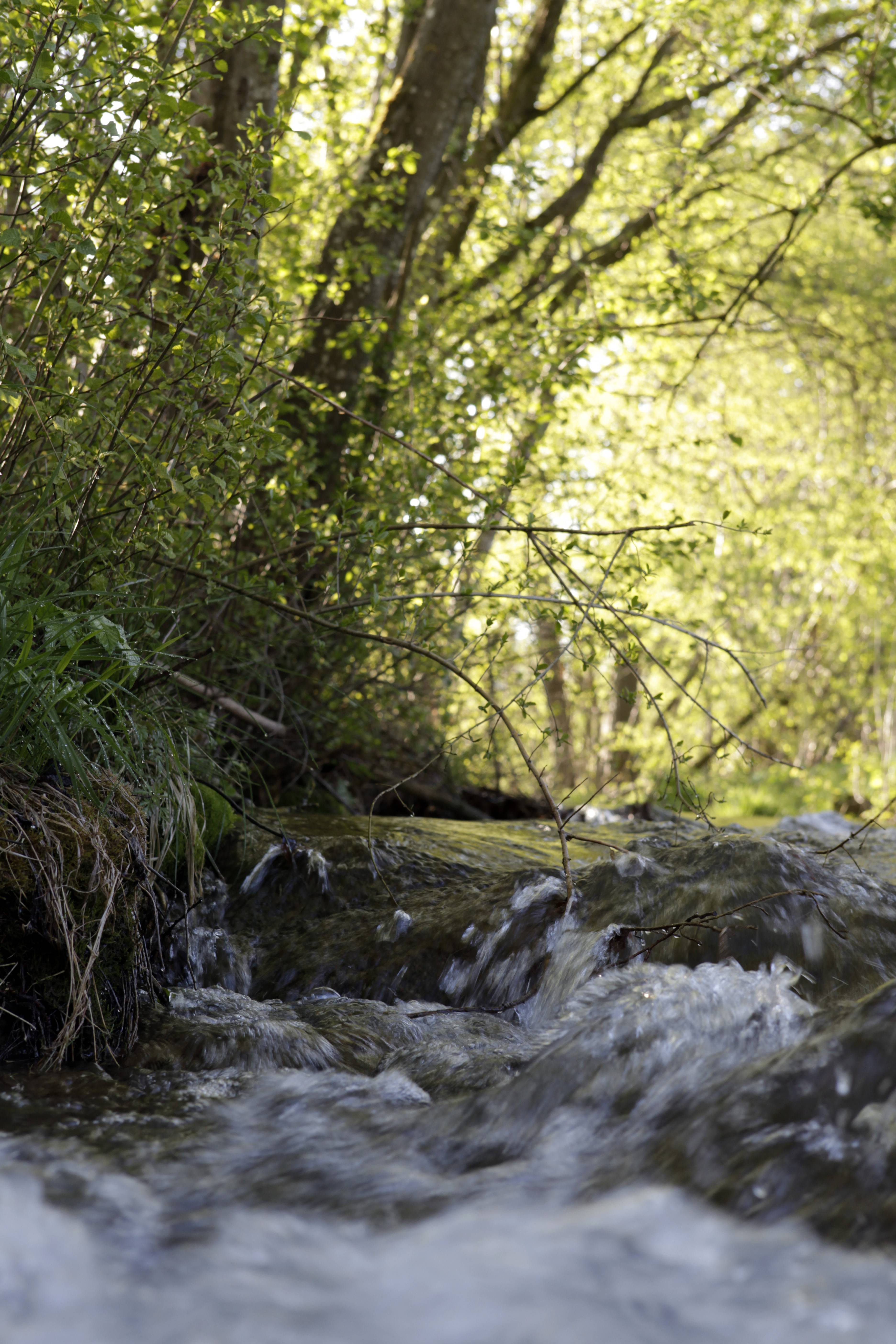 Wasser darf für den gewerblichen Gebrauch nicht ohne behördliche Genehmigung aus Bächen und Seen entnommen werden. Unser Bild zeigt den idyllischen Mühlbach bei der Ehwiesmühle bei Wolfertschwenden. Foto: Stefanie Vögele/Landratsamt