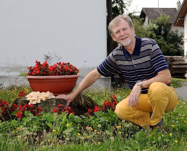 Dr. Manfred Fischer zeigt einen Schwefelporling, der hier in Dirlewang an einem Baumstumpf wächst. Für Pilze interessiert er sich von Kindesbeinen an – nicht nur für Speisepilze. Foto: Eva Büchele/Landratsamt Unterallgäu