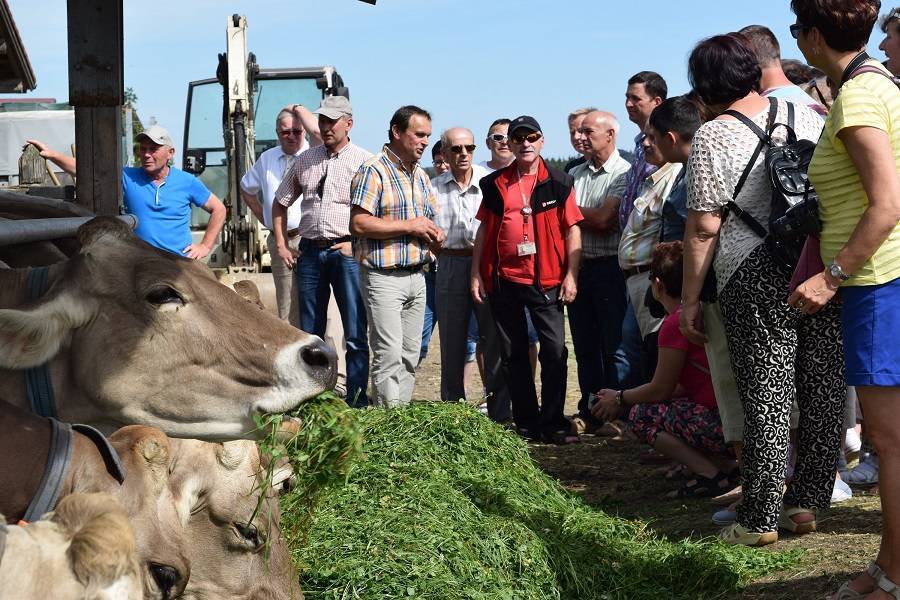 Erich Lerf führte die Gäste aus Polen über seinen Hof. Foto: Engelbert Degenhart/Landratsamt Unterallgäu